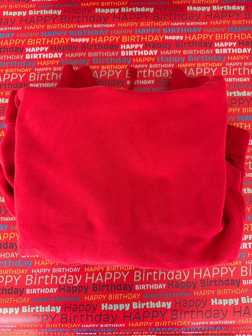 Red TNA sweatfleece hoodie in a S #tna #cozy #aritzia